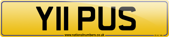 Y11 PUS