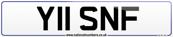 Y11 SNF