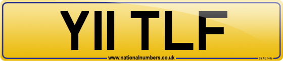 Y11 TLF