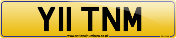 Y11 TNM