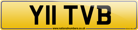 Y11 TVB