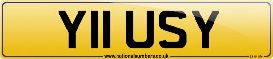 Y11 USY