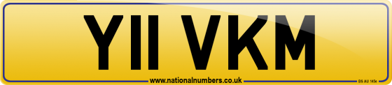 Y11 VKM