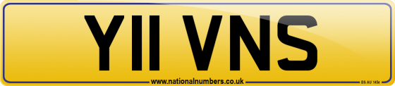 Y11 VNS