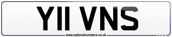 Y11 VNS
