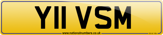 Y11 VSM