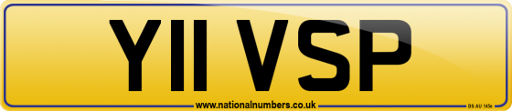 Y11 VSP