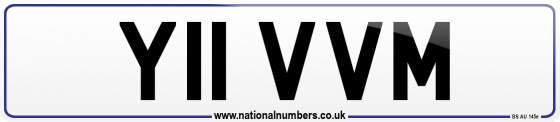 Y11 VVM