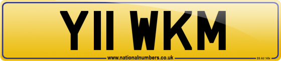 Y11 WKM
