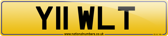 Y11 WLT