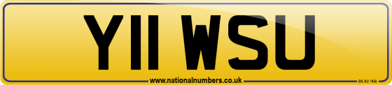 Y11 WSU