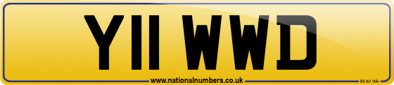 Y11 WWD