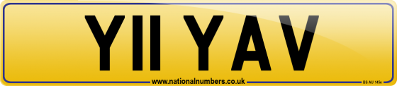Y11 YAV