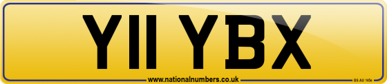 Y11 YBX