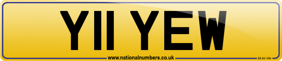 Y11 YEW