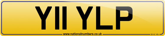 Y11 YLP
