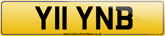 Y11 YNB