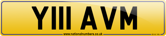 Y111 AVM