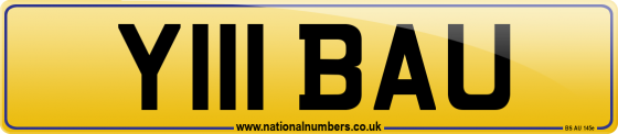 Y111 BAU