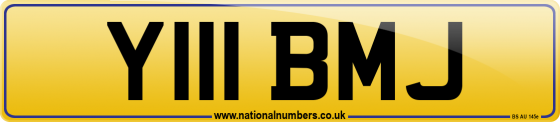 Y111 BMJ