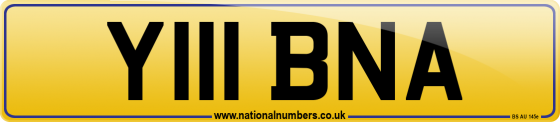 Y111 BNA