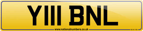 Y111 BNL