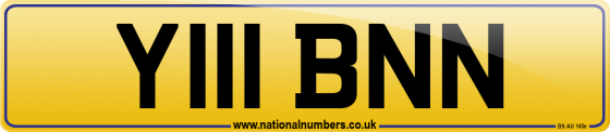 Y111 BNN