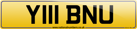 Y111 BNU