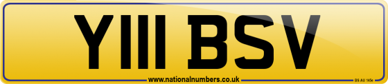 Y111 BSV