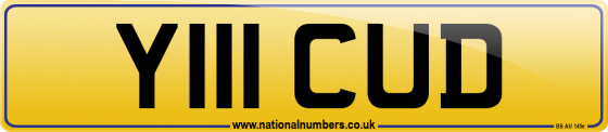 Y111 CUD