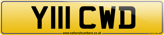 Y111 CWD