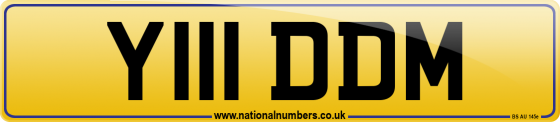 Y111 DDM