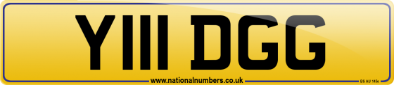 Y111 DGG