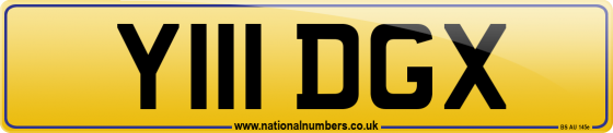 Y111 DGX