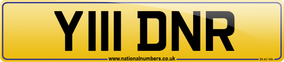 Y111 DNR