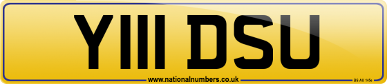 Y111 DSU