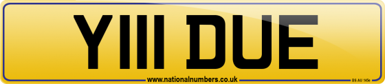 Y111 DUE