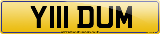 Y111 DUM
