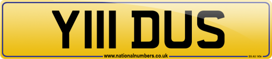 Y111 DUS