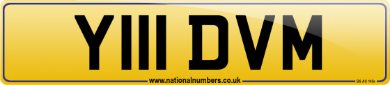Y111 DVM