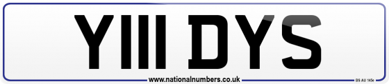 Y111 DYS