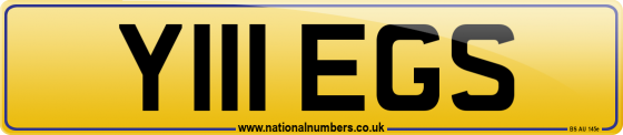 Y111 EGS