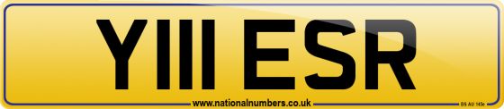 Y111 ESR