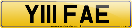 Y111 FAE