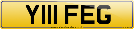 Y111 FEG