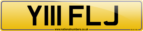 Y111 FLJ