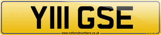 Y111 GSE