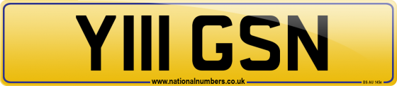 Y111 GSN