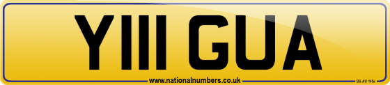 Y111 GUA