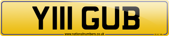Y111 GUB